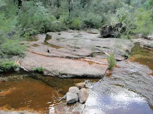 Small water hole on Lincoln Creek