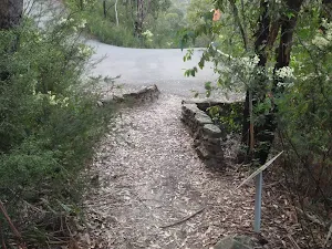 Euroka Trk leading onto the road down to the causeway