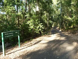 Intersection and sign in the Blackbutt Reserve 