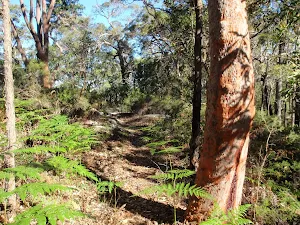 Ridge Trail loop