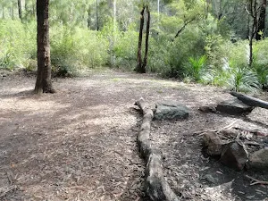 Lower Lincoln Campsite