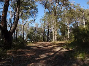 Track up the hill to Bournda Trig
