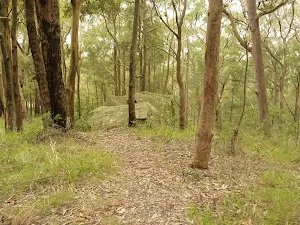 Green track near the Mt Sugarloaf summit