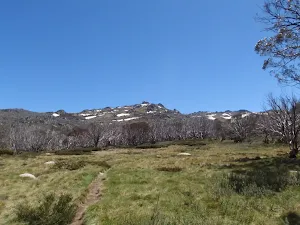 Open flat area on the Dead Horse Gap track at about 1700m AMSL