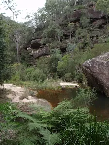Boulder in pool