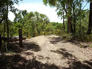 Trail through forest near Murray's beach
