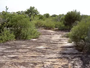 Marley Trackover rock surface
