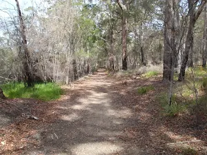 Track below road