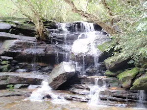 Somersby & Mooney Mooney Creek Loop