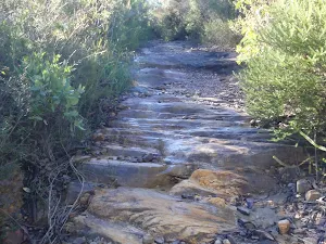 A rocky management trail