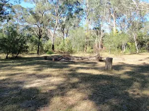 Ten Mile Hollow Clearing