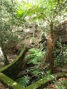 Mossy Creek diversion