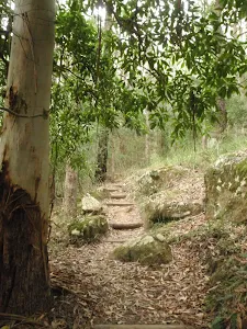 Shaded section on Graves Walk