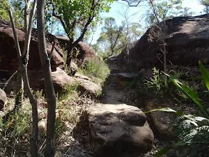 Between the rocks