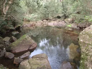 Pool in Sassafras Creek
