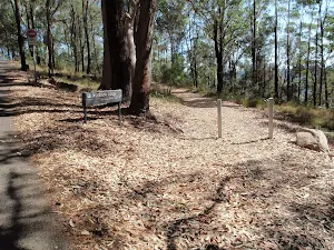 Well signposted tracks