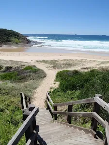 Track from Frazer camp area to norther end of Frazer Beach