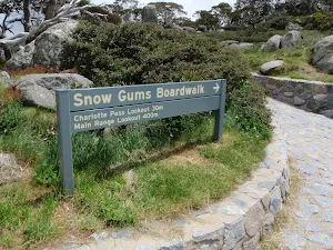 Start of Snow Gums Boardwalk