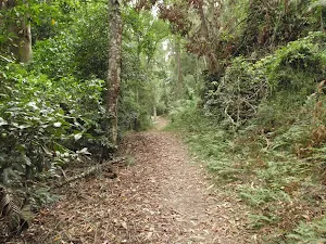 Track beside Seymour Pond