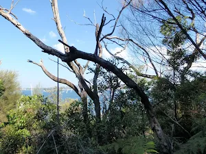Water glimpse from Bottom of the Iluka and Morella access track