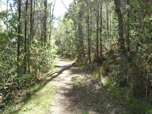 Trail near Sandringham Close