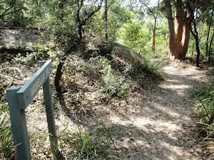 Bottom of Morella Rd track