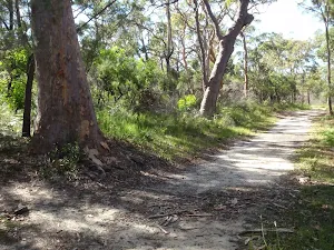 Sid Pulsford Walking trail