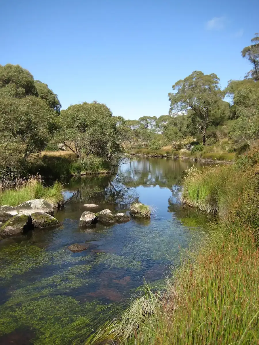 Junction Pools camping ground