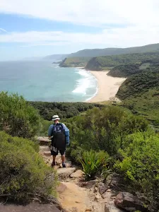 Garie Beach from the Coast Track