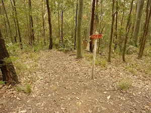 Red track marker near the Mt Sugarloaf summit