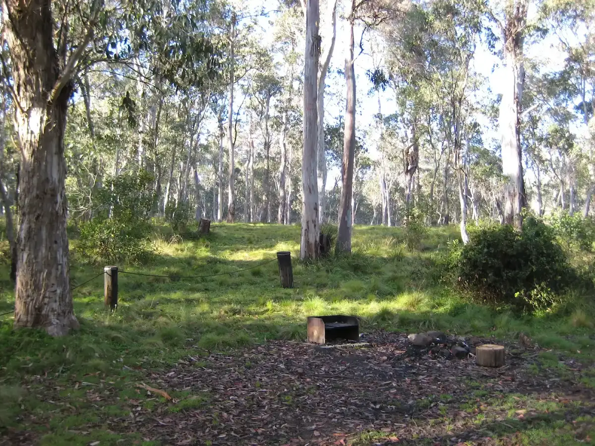 Manning River camping area