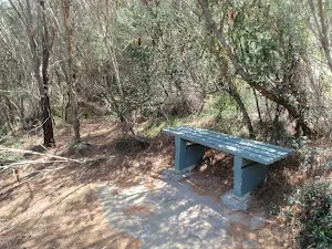 Bench beside track