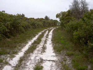 Sandy service trail between Bombi Point Track and Third Point Tracks