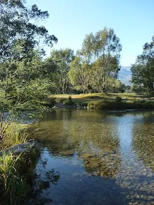 Crossing Swampy Plains Creek