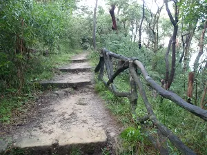 Steps near the Zoo