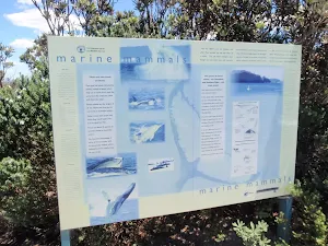 Marine Mammals sign