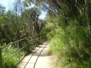 Following the path from Cliff View Lookout