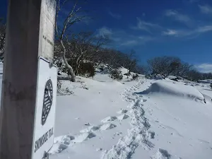 Following the Snowshoe trail sign