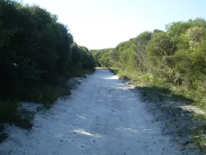 Marley Head Servicetrail