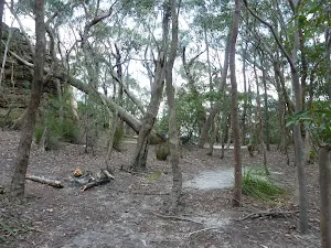 Chinamans Gully Campsite