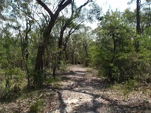 Following the trail