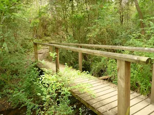 Small bridge Near Zig Zag Creek