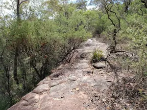 Highway Ridge track