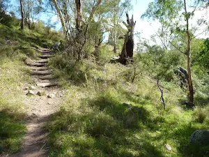 Crossing a gully just west of the main farmland near Megalong Road