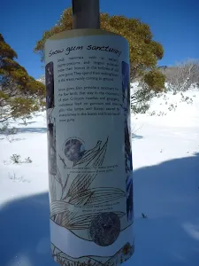 Snow gum sanctuary sign