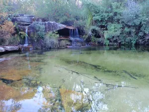 Lovetts Pools