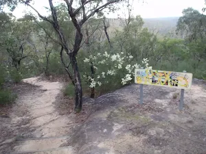 Jellybean pool track