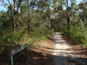 Continuing through the bush