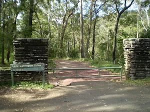The south end of Lady Carrington Dr.