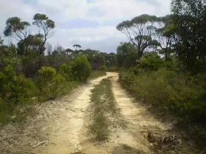 The King's Tableland Servicetrail